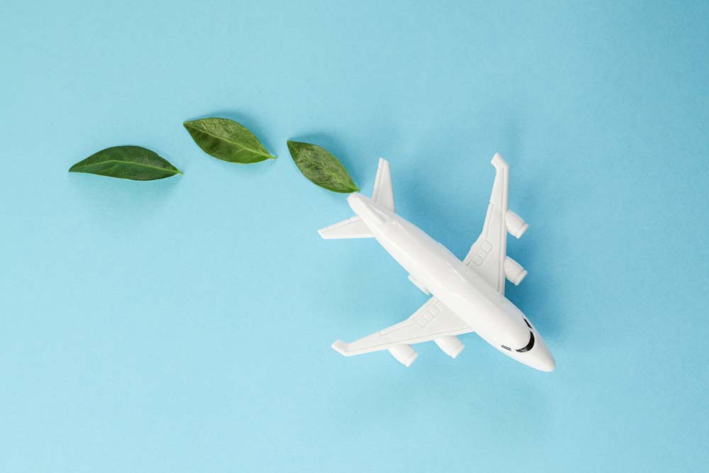 A white plane with three green leaves following it, representing 'green' airplane fuel.