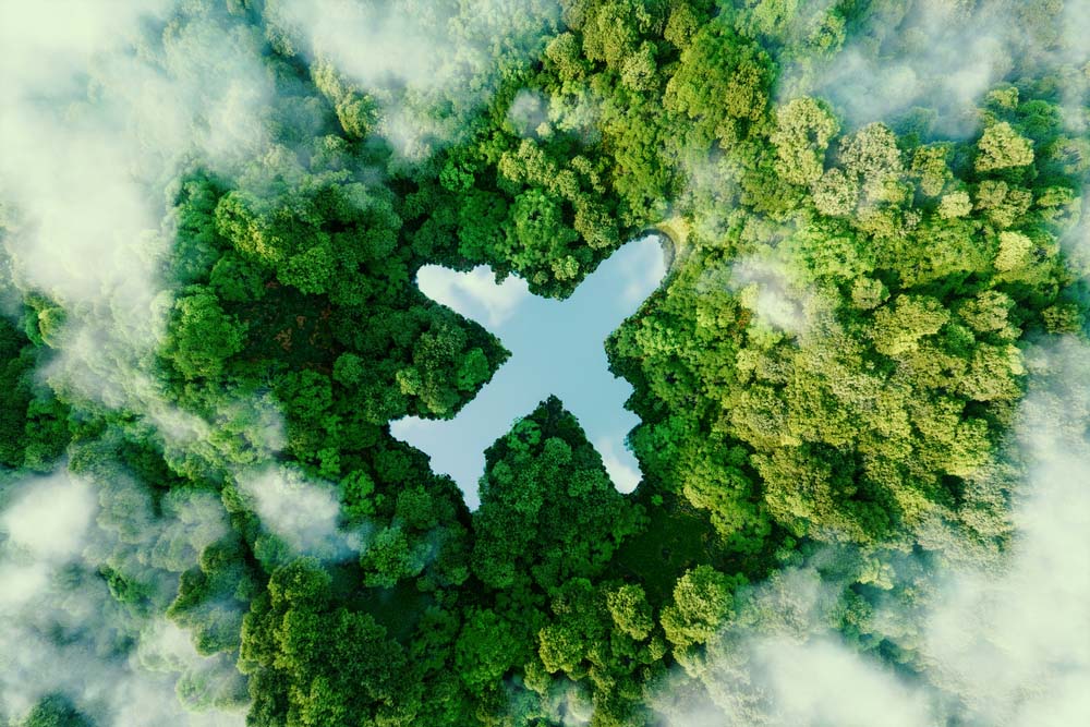 An overhead view of a green forest with a blue cut-out in the shape of an airplane.
